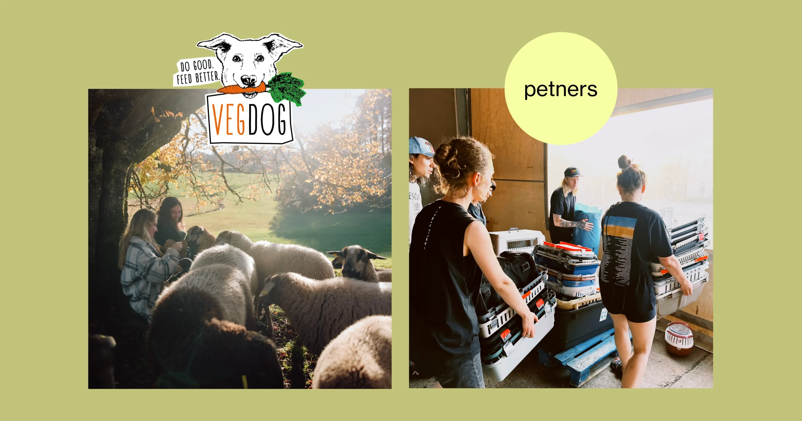 How Kweet Helped Petners Secure 31 Tons of Pet Food in 2 Weeks