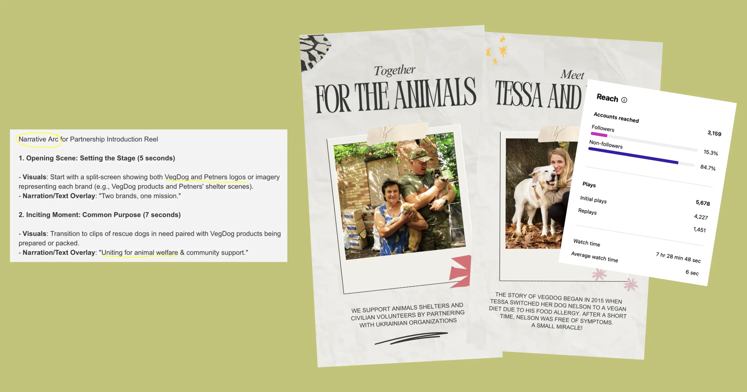 How Kweet Helped Petners Secure 31 Tons of Pet Food in 2 Weeks
