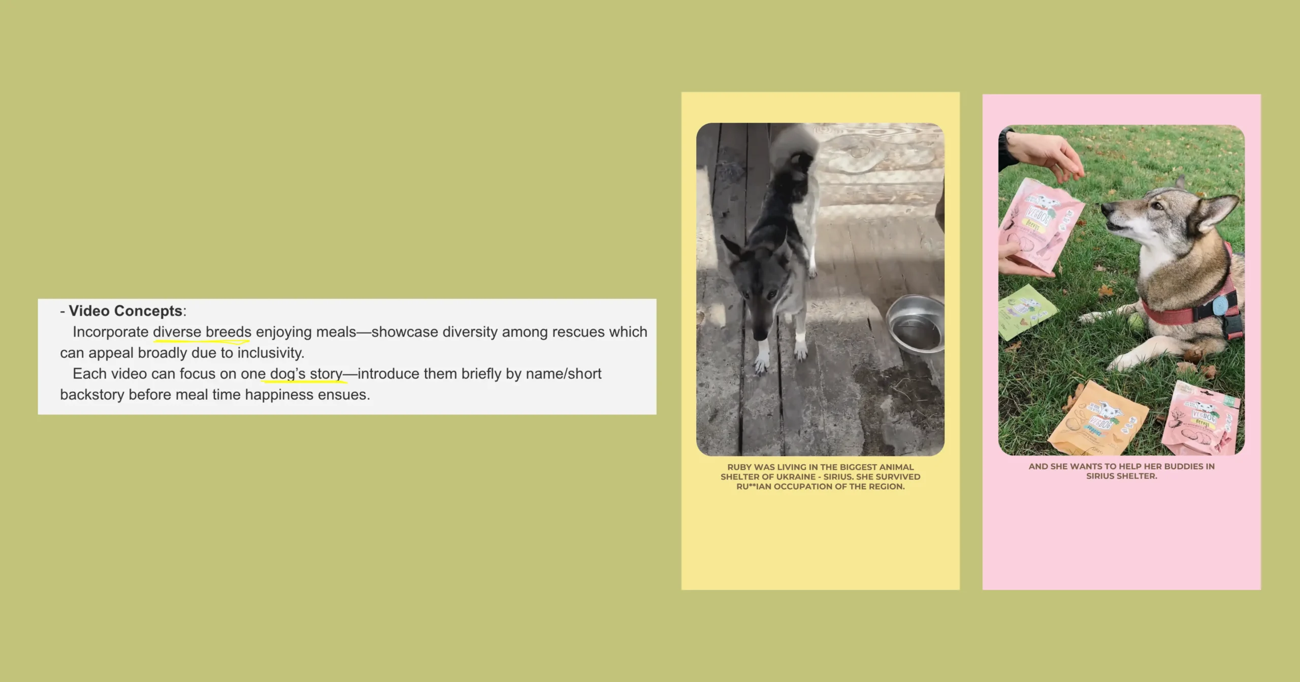 How Kweet Helped Petners Secure 31 Tons of Pet Food in 2 Weeks
