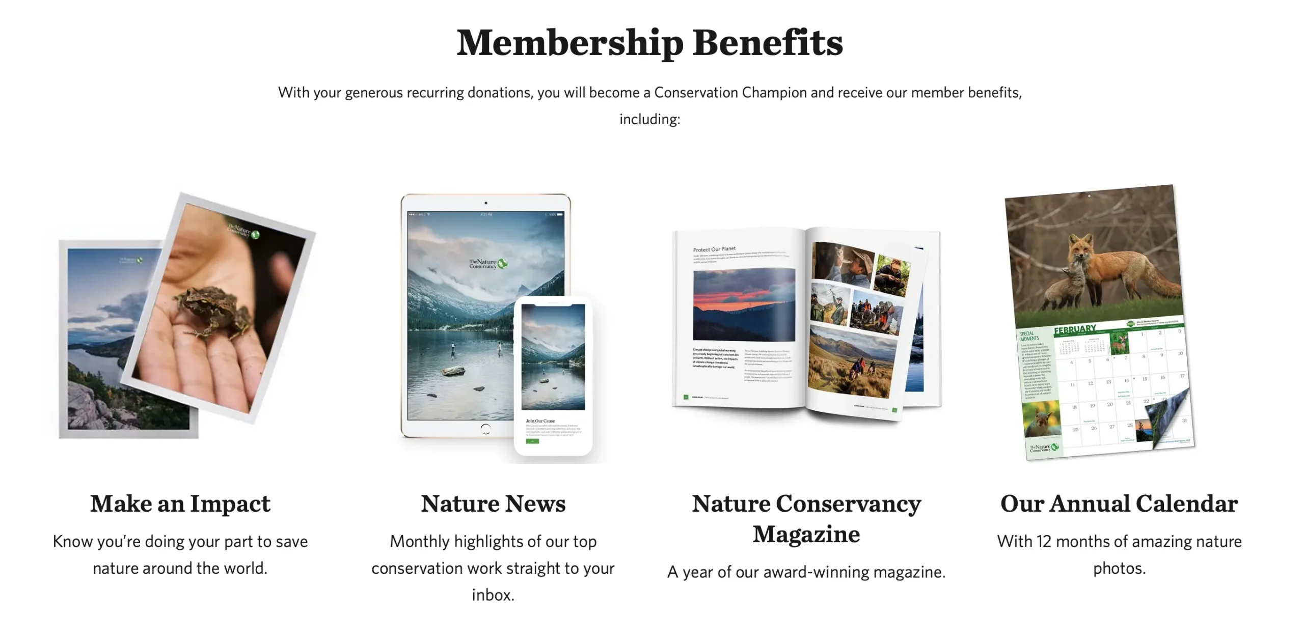 How to Build a Monthly Giving Program: Step by Step with Examples